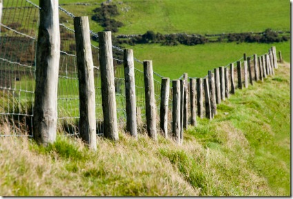 Wodden Posts with Metal Wire Fence in Cattle Field